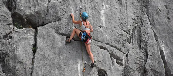 Découvertes et escalade en Falaise